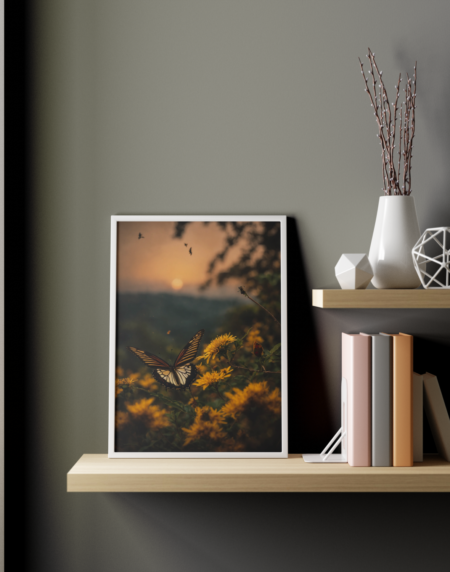 Un Battement d'Ailes